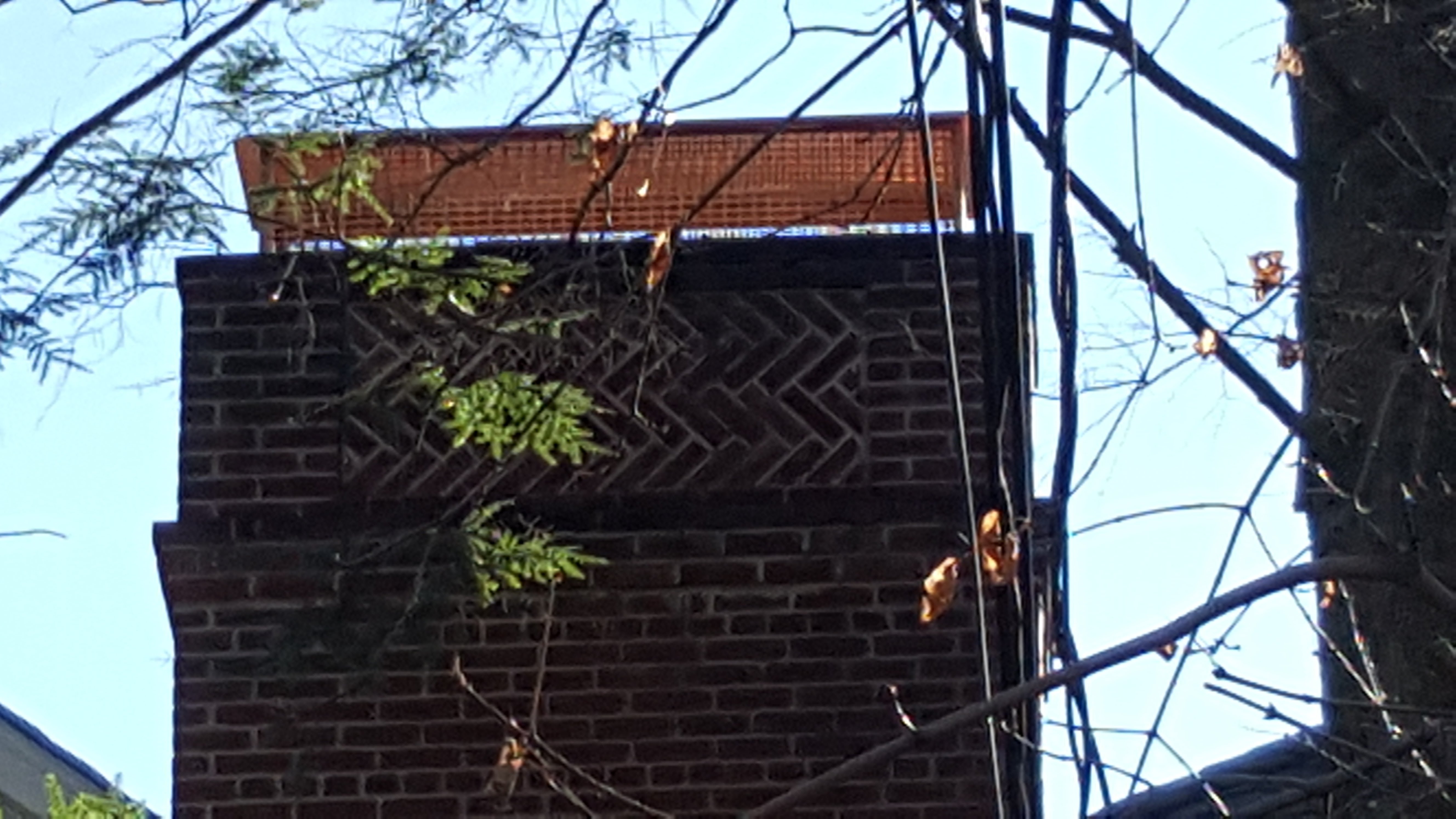 Animal-proof chimney cap protecting home in East Northport, New York